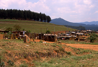 SABIE SOUTH AFRICA
The township on the edge of this town made prosperous from the timber industry