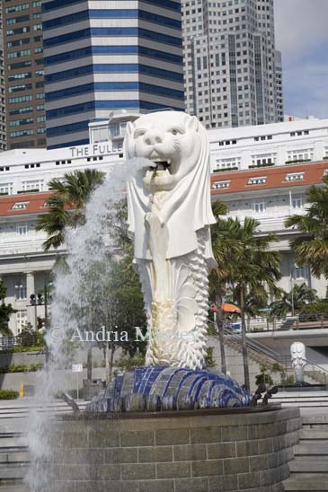 SINGAPORE CITY ASIA May The iconic statue of the Merlion with the head of a lion and the body of a fish. Designed by Fraser Brunner for the Singapore Tourist Board in 1962 it is sited in front of the colonial building of the Fullerton Hotel