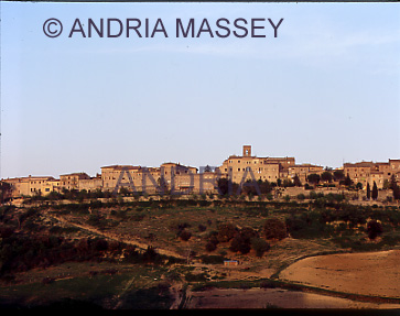 CASOLE d'ELSA TUSCANY ITALY
View across to the town in early evening light
