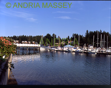 FAIR HARBOR WASHINGTON STATE USA
The marina of this town is covered in flower baskets - on Case Inlet