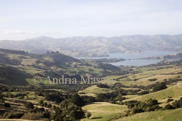 NR LITTLE RIVER SOUTH ISLAND NEW ZEALAND May Looking down on Barrys Bay on the Banks Peninsula from the view point at the Hilltop Tavern