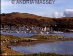 Craobh Haven Argyll & Bute Scotland
View of the marine village from across the bay