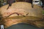 WAIHARARA NORTH ISLAND NEW ZEALAND May A huge swamp Kauri log dating back some 50,000 years carved into a beautiful couch
