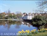 Midhurst West Sussex
The South Pond looking towards South Street - the Pond was given to the town by Lord Cowdray in 1957