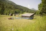 KRANJSKA GORA SLOVENIA EU/June
A farm surrounded by hay meadows, the cut hay hanging on the wooden dryers to dry in a wide Alpine Valley in the shadow of the Julian Alps