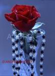 Red rose and draped jewellery with blue background