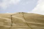 AUPORI PENINSULA NORTH ISLAND NEW ZEALAND May Group of people sand surfing down the giant dunes bordering Te Paki Stream