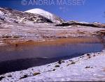 Isle of Skye Scottish Highlands
Frozen reeds in Loch Cill Chriosd
