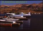 CHELAN WASHINGTON STATE USA
Floatplanes of Chelan Airways which organises flights to Stehekin at the north end of the lake