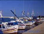 ESTAPONA COSTA DEL SOL SPAIN
Part of the fishing fleet moored in this busy port