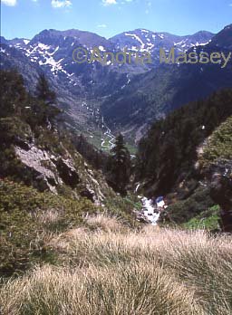 View from Cabana Sorda along Val DIncles Andorra

Format: 35mm