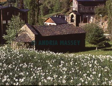 Abandoned church in Arinsal Andorra

Format: Medium