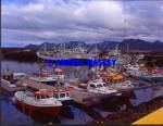 Olafsvik Iceland - harbour of fishing village

Format: Medium