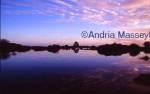 The New Forest Hampshire Sunset over a lake

Format: 35mm
