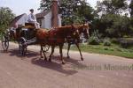 Carriage travelling along Nicholson Street Colonial Williamsburg  USA

Format: 35mm