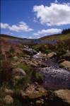 Nant-y-Moch River near Aberystwyth Dyfed

Format: 35mm